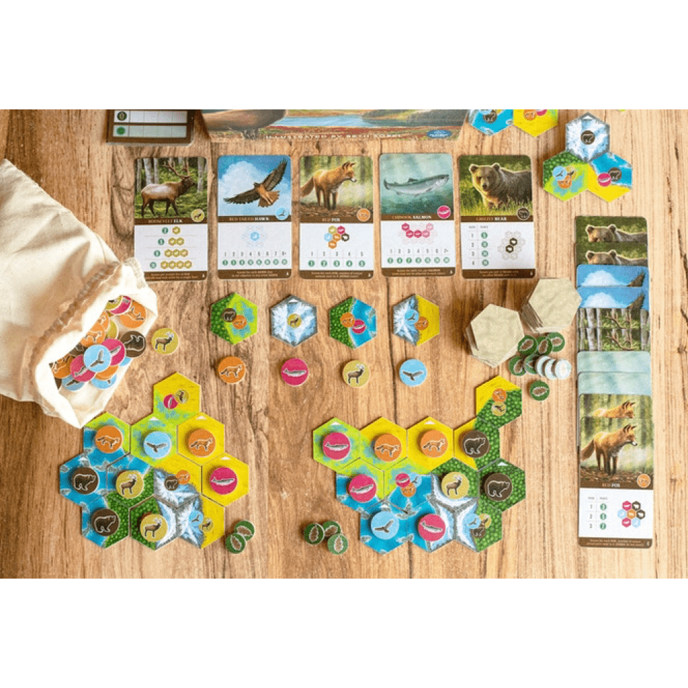 cascadia gioco da tavolo - componenti